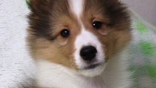 2025年５月１２生まれの男の子♪