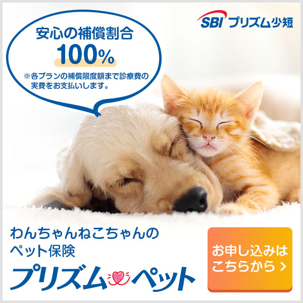 【ペット保険】SBIプリズム小短「プリズムペット」バーナー画像