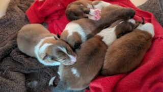 2025年12月25日に生まれたベビー♪