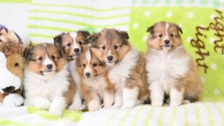 2025年12月25日生まれのベビー達♪